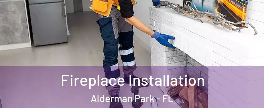 Fireplace Installation Alderman Park - FL