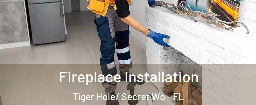 Fireplace Installation Tiger Hole/ Secret Wo - FL