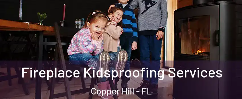 Fireplace Kidsproofing Services Copper Hill - FL
