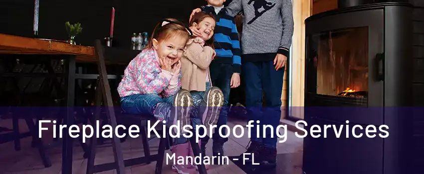 Fireplace Kidsproofing Services Mandarin - FL