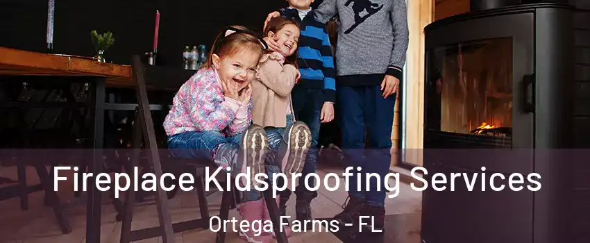 Fireplace Kidsproofing Services Ortega Farms - FL