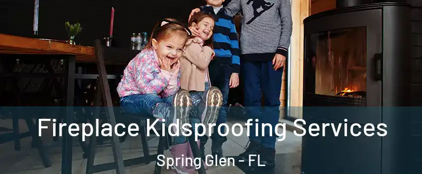 Fireplace Kidsproofing Services Spring Glen - FL