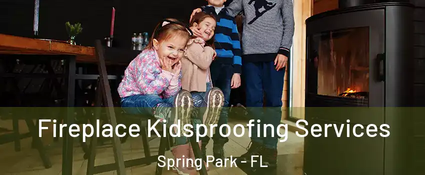 Fireplace Kidsproofing Services Spring Park - FL