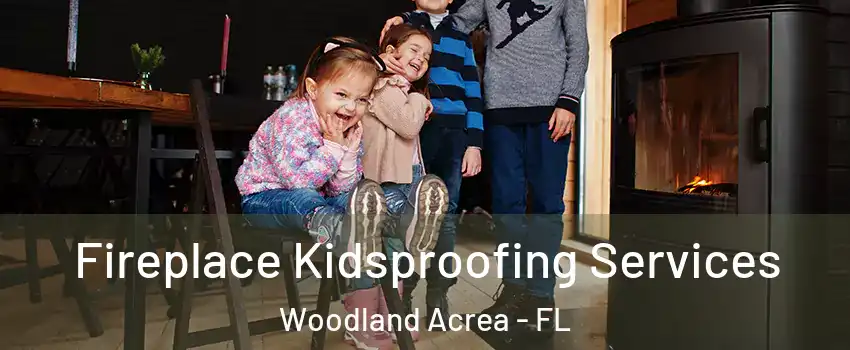 Fireplace Kidsproofing Services Woodland Acrea - FL