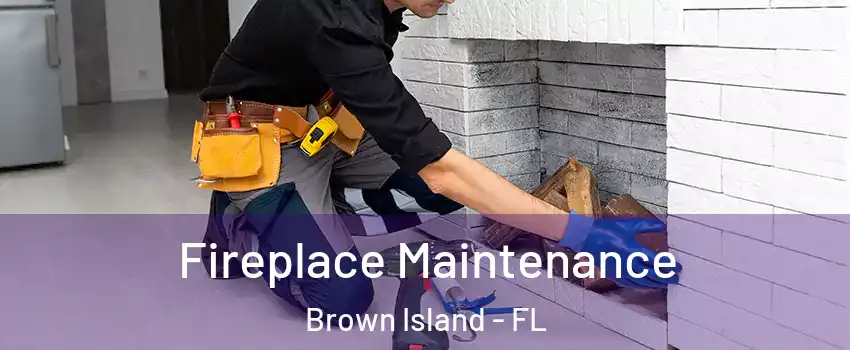 Fireplace Maintenance Brown Island - FL