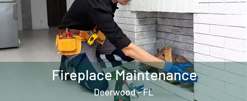 Fireplace Maintenance Deerwood - FL