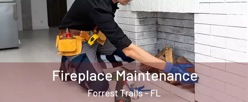 Fireplace Maintenance Forrest Trails - FL