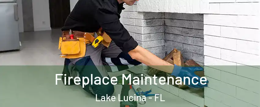 Fireplace Maintenance Lake Lucina - FL