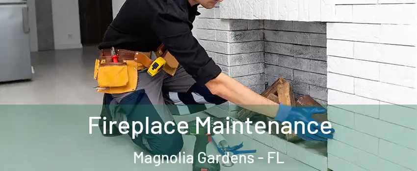 Fireplace Maintenance Magnolia Gardens - FL