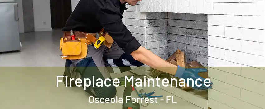 Fireplace Maintenance Osceola Forrest - FL