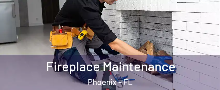 Fireplace Maintenance Phoenix - FL