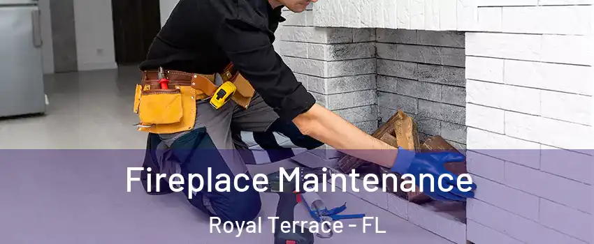 Fireplace Maintenance Royal Terrace - FL