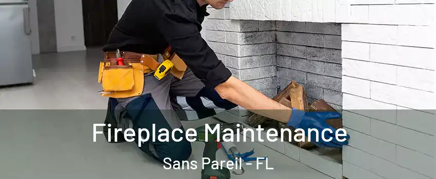 Fireplace Maintenance Sans Pareil - FL