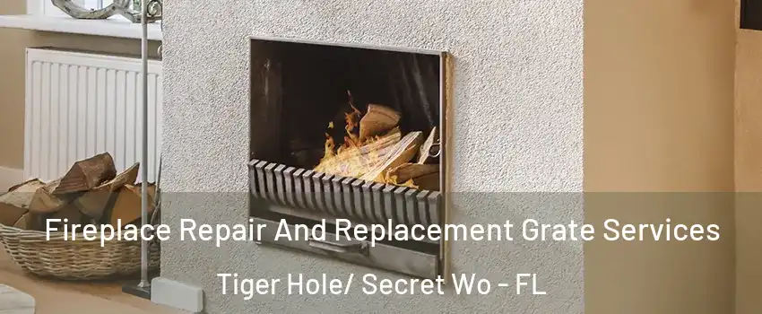 Fireplace Repair And Replacement Grate Services Tiger Hole/ Secret Wo - FL