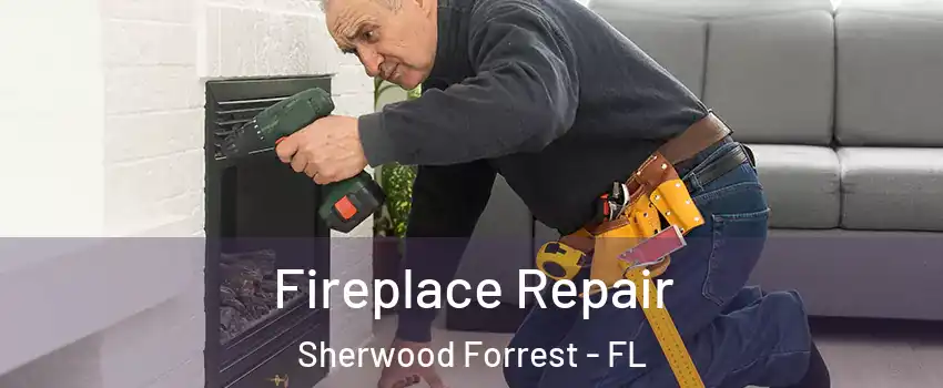 Fireplace Repair Sherwood Forrest - FL