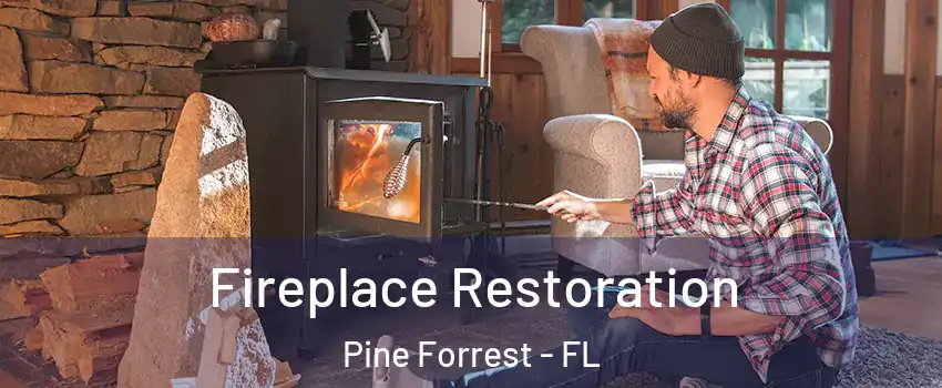 Fireplace Restoration Pine Forrest - FL