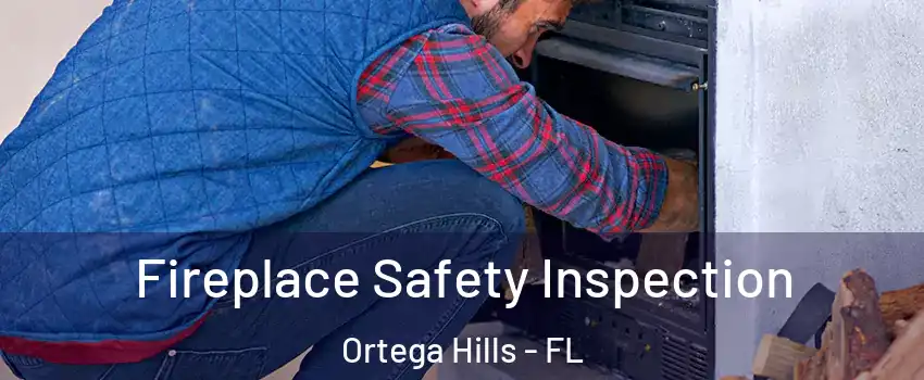 Fireplace Safety Inspection Ortega Hills - FL