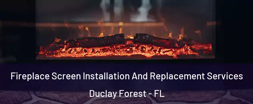 Fireplace Screen Installation And Replacement Services Duclay Forest - FL