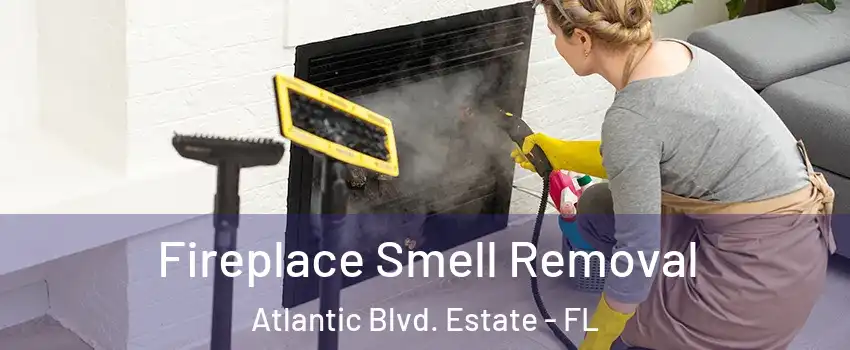 Fireplace Smell Removal Atlantic Blvd. Estate - FL