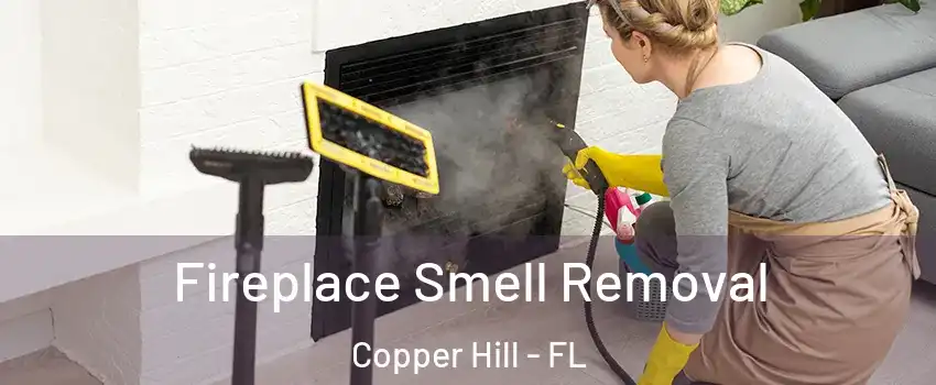 Fireplace Smell Removal Copper Hill - FL