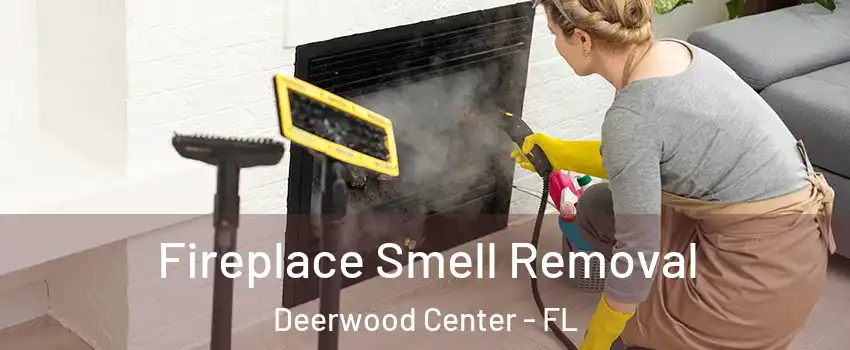 Fireplace Smell Removal Deerwood Center - FL