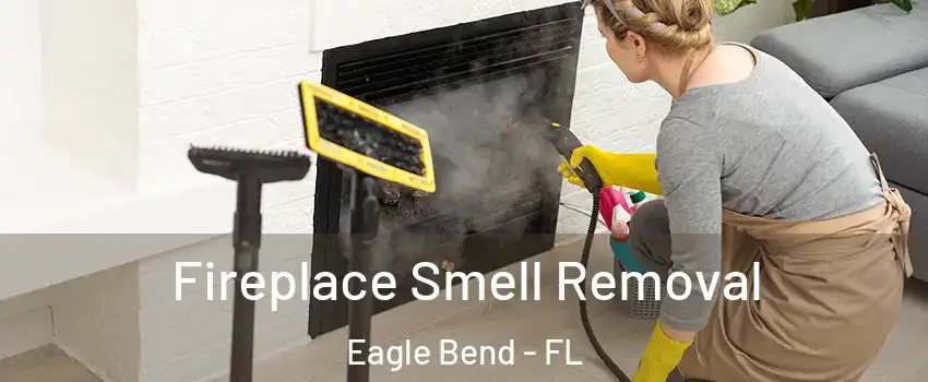 Fireplace Smell Removal Eagle Bend - FL