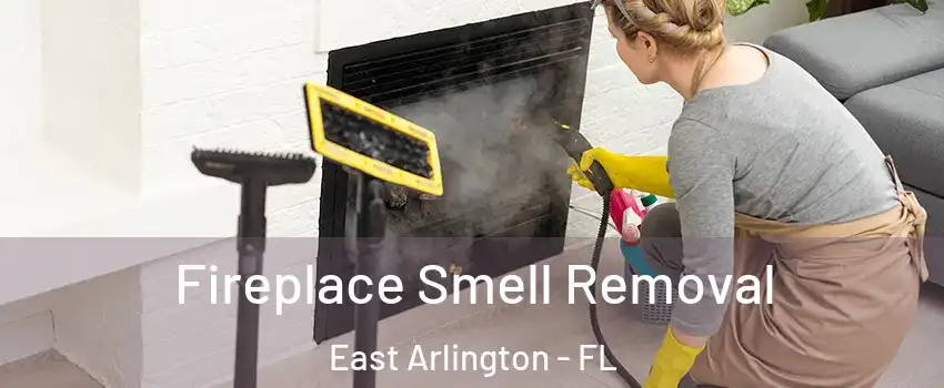 Fireplace Smell Removal East Arlington - FL