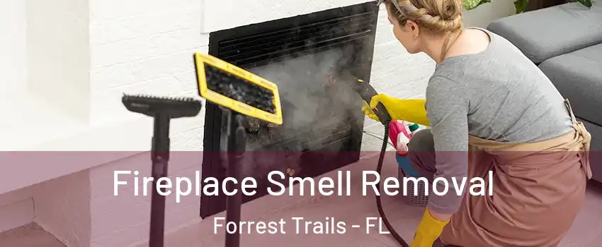 Fireplace Smell Removal Forrest Trails - FL