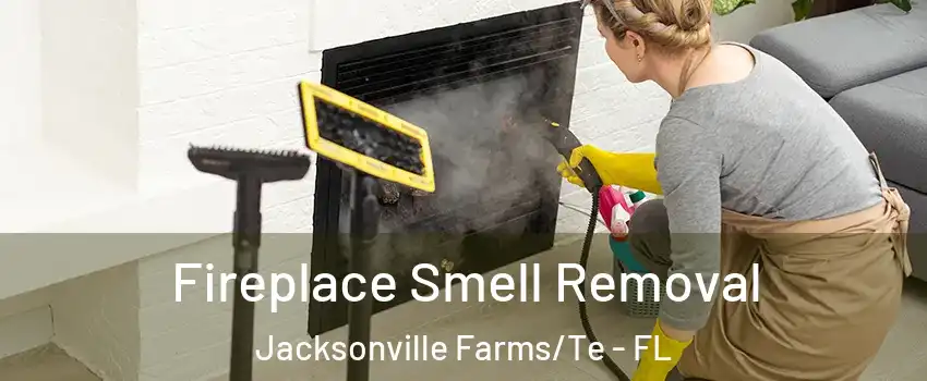 Fireplace Smell Removal Jacksonville Farms/Te - FL