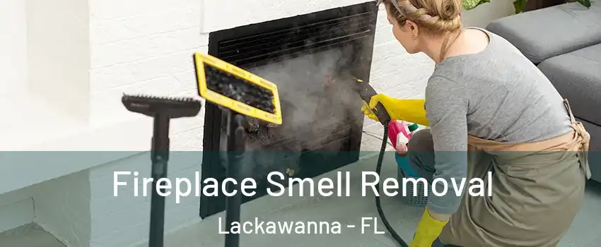 Fireplace Smell Removal Lackawanna - FL