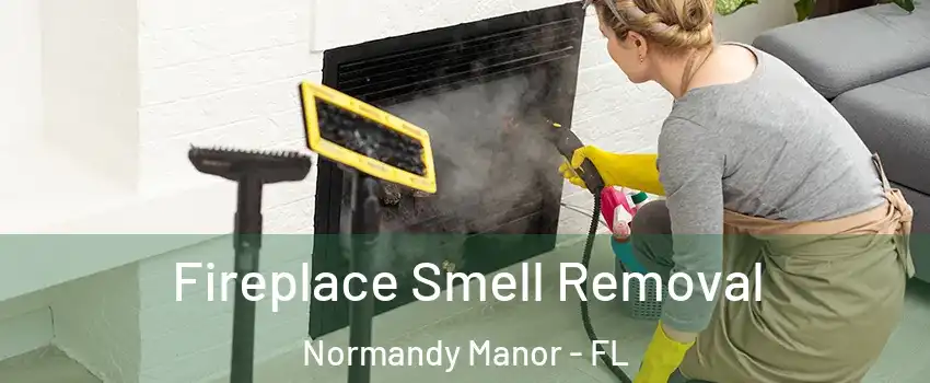 Fireplace Smell Removal Normandy Manor - FL