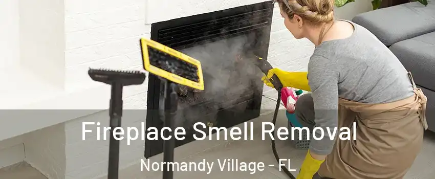 Fireplace Smell Removal Normandy Village - FL