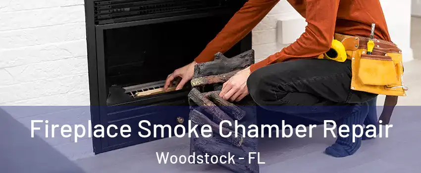 Fireplace Smoke Chamber Repair Woodstock - FL