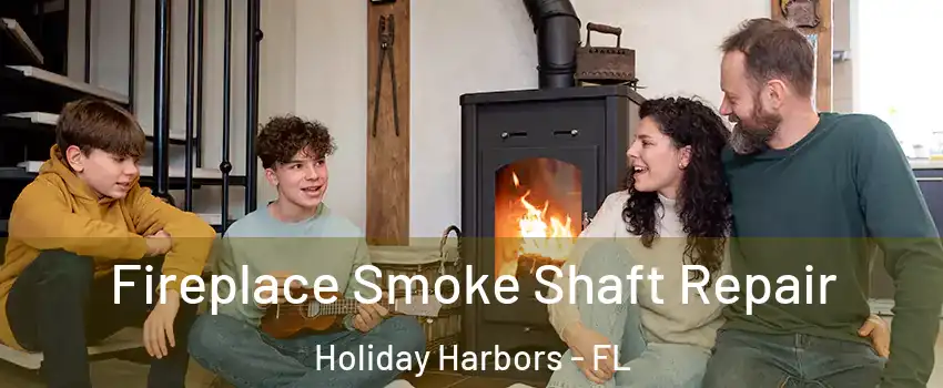 Fireplace Smoke Shaft Repair Holiday Harbors - FL