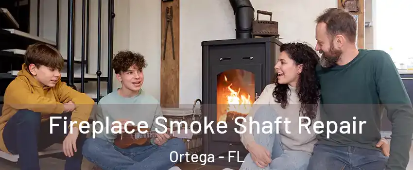 Fireplace Smoke Shaft Repair Ortega - FL