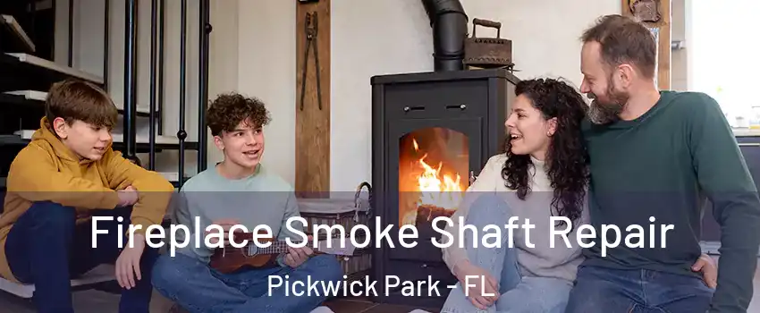 Fireplace Smoke Shaft Repair Pickwick Park - FL