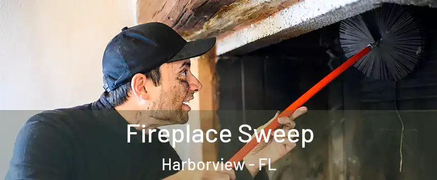 Fireplace Sweep Harborview - FL