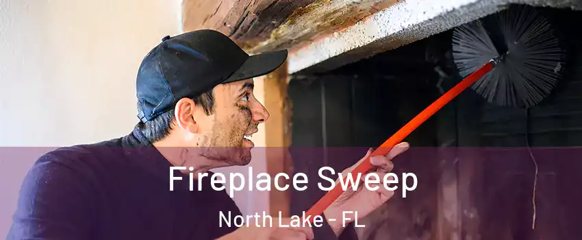 Fireplace Sweep North Lake - FL