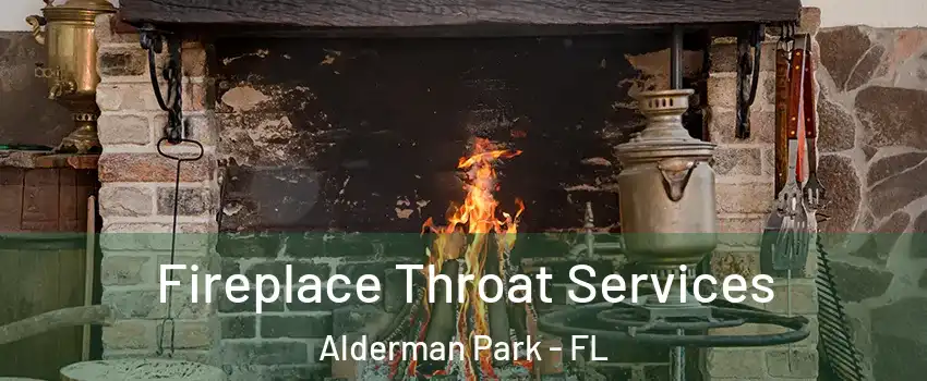 Fireplace Throat Services Alderman Park - FL