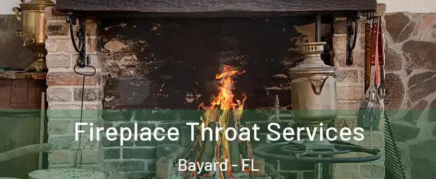 Fireplace Throat Services Bayard - FL