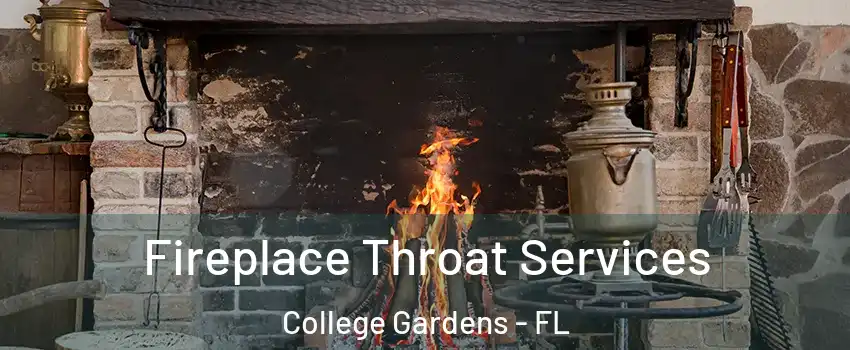 Fireplace Throat Services College Gardens - FL