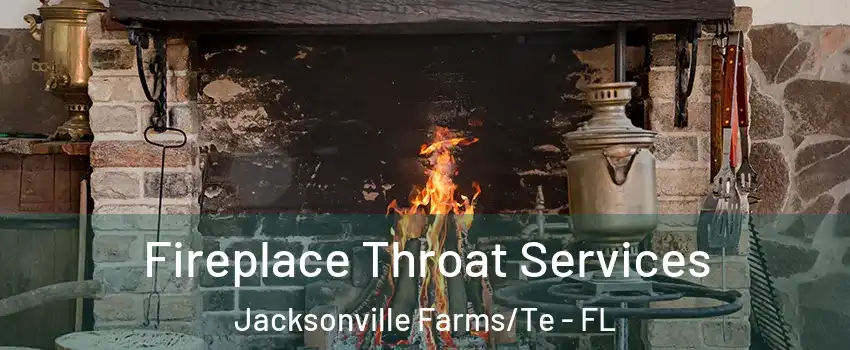 Fireplace Throat Services Jacksonville Farms/Te - FL