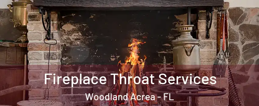 Fireplace Throat Services Woodland Acrea - FL