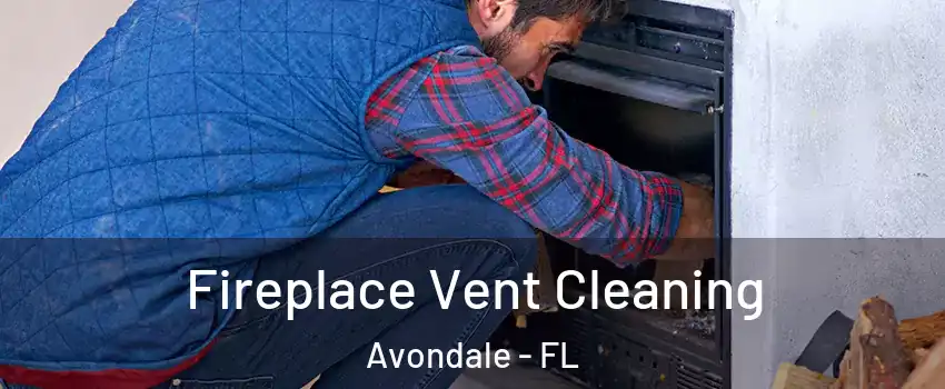 Fireplace Vent Cleaning Avondale - FL