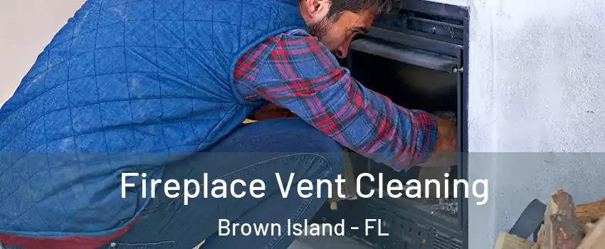 Fireplace Vent Cleaning Brown Island - FL