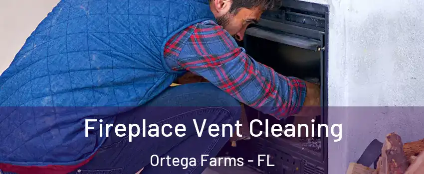 Fireplace Vent Cleaning Ortega Farms - FL