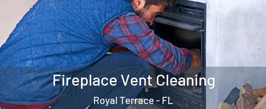 Fireplace Vent Cleaning Royal Terrace - FL