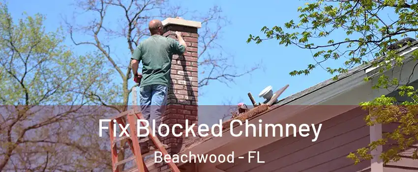 Fix Blocked Chimney Beachwood - FL