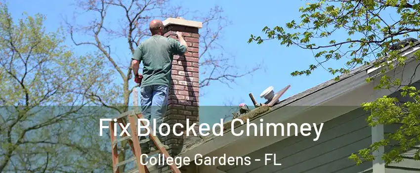 Fix Blocked Chimney College Gardens - FL