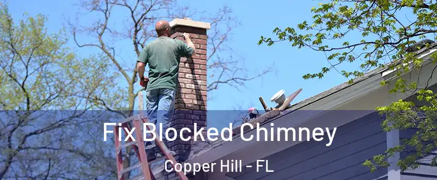 Fix Blocked Chimney Copper Hill - FL